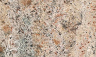 Lady Dream Granite