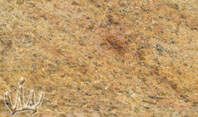 Maduri Gold Granite