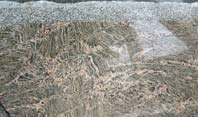 Tiger Skin Granite