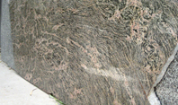 Tiger Skin Granite