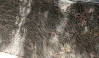 Tiger Skin Granite