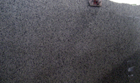 Raniwara Green Granite