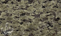 Raniwara Green Granite