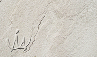 Panna White Sandstone